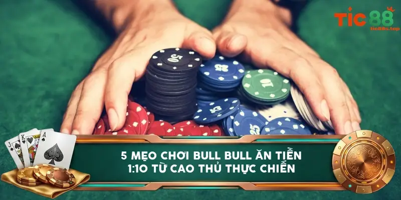 5 mẹo chơi Bull Bull ăn tiền 1:10 từ cao thủ thực chiến