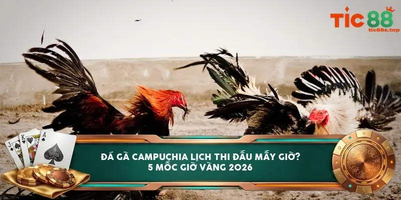 Đá gà Campuchia lịch thi đấu mấy giờ? 5 mốc giờ vàng 2026