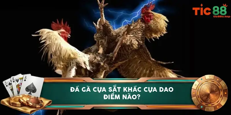 Đá gà cựa sắt khác cựa dao điểm nào? Đá gà cựa sắt khác cựa dao điểm nào?