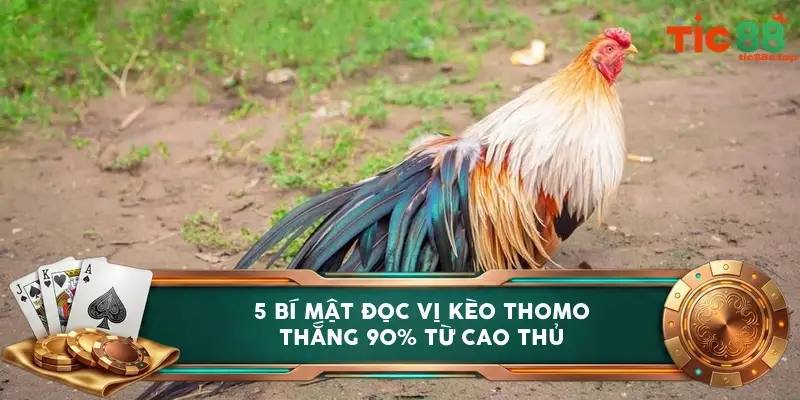 5 bí mật đọc vị kèo Thomo thắng 90% từ cao thủ 5 bí mật đọc vị kèo Thomo thắng 90% từ cao thủ